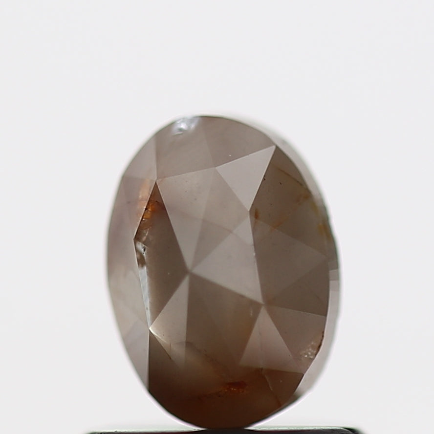 ClariOLED Transparent OLED Display price