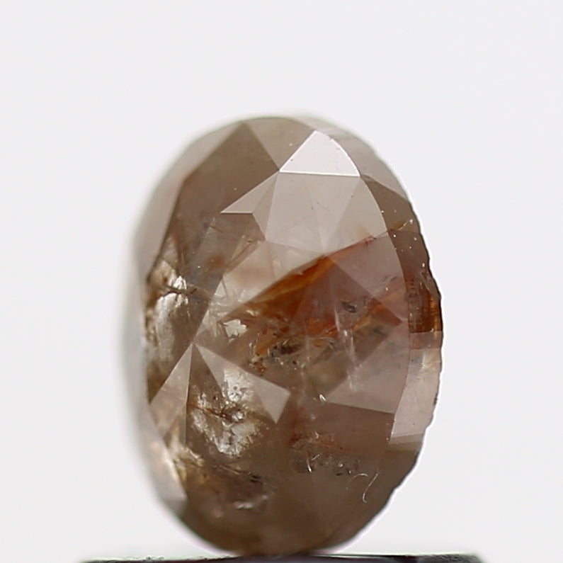 ClariOLED Transparent OLED Display price