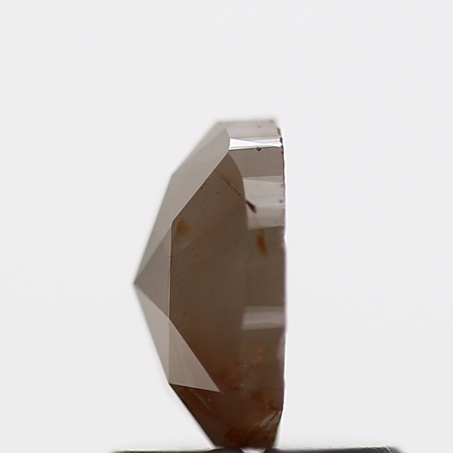 ClariOLED Transparent OLED Display price