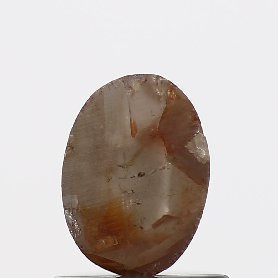 ClariOLED Transparent OLED Display price