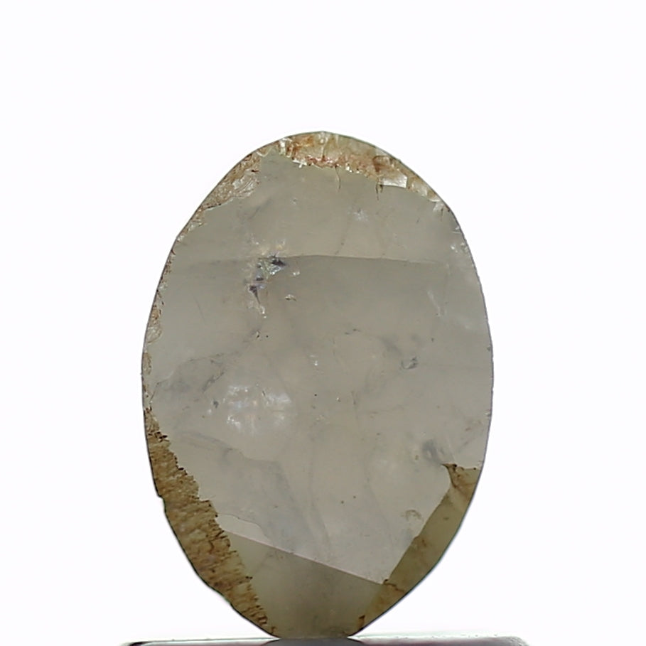 ClariOLED Transparent OLED Display price