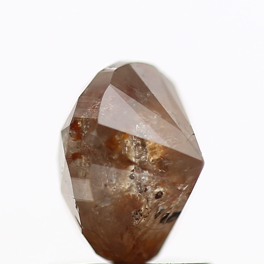 ClariOLED Transparent OLED Display price