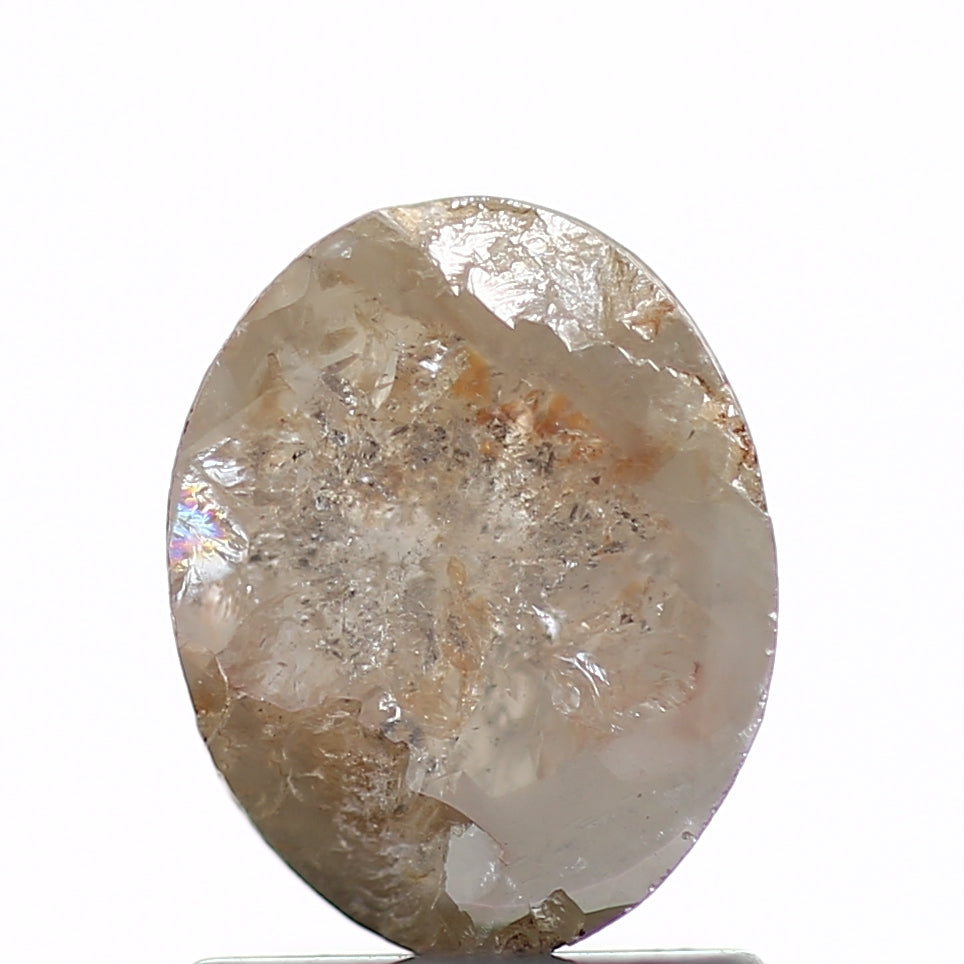 ClariOLED Transparent OLED Display price