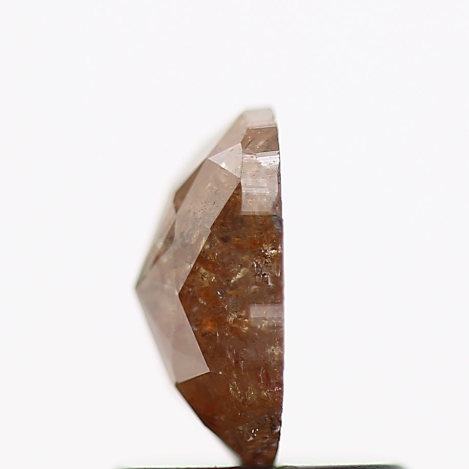 ClariOLED Transparent OLED Display price