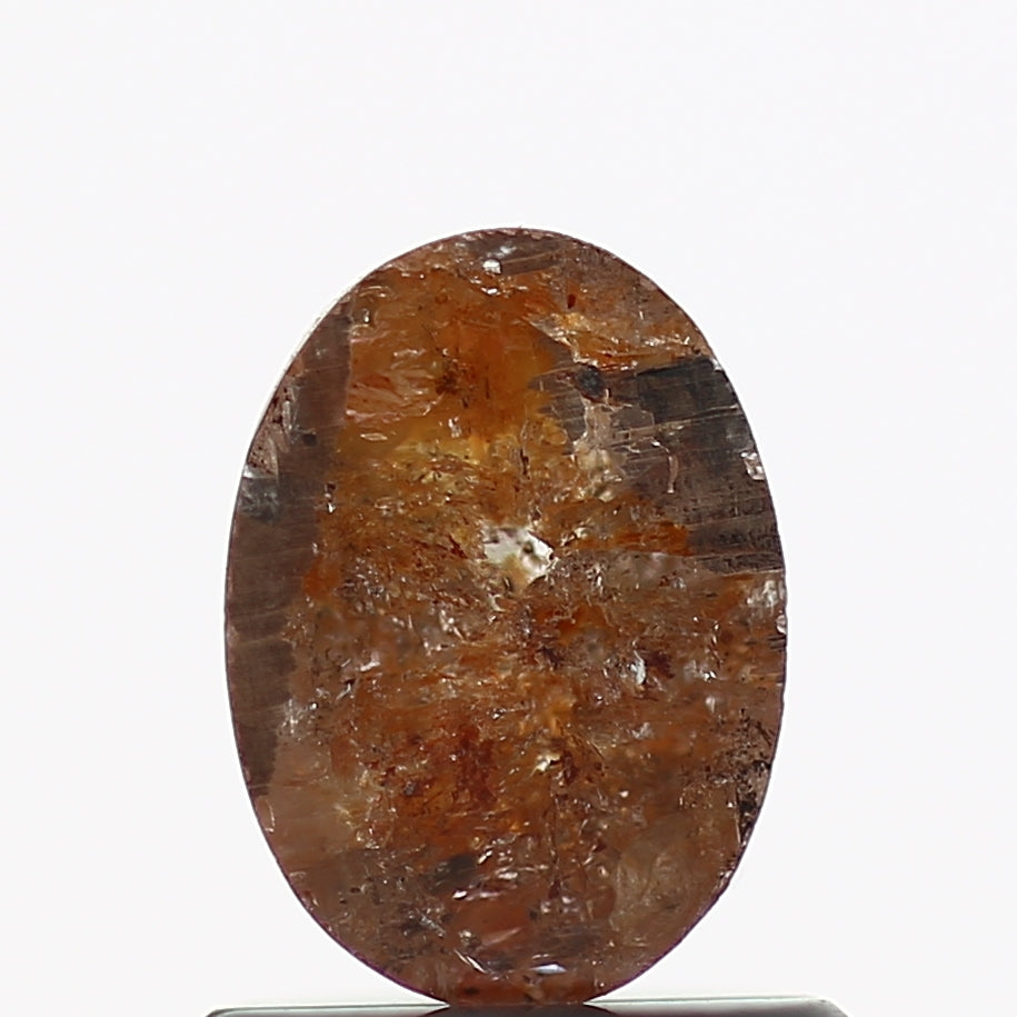 ClariOLED Transparent OLED Display price