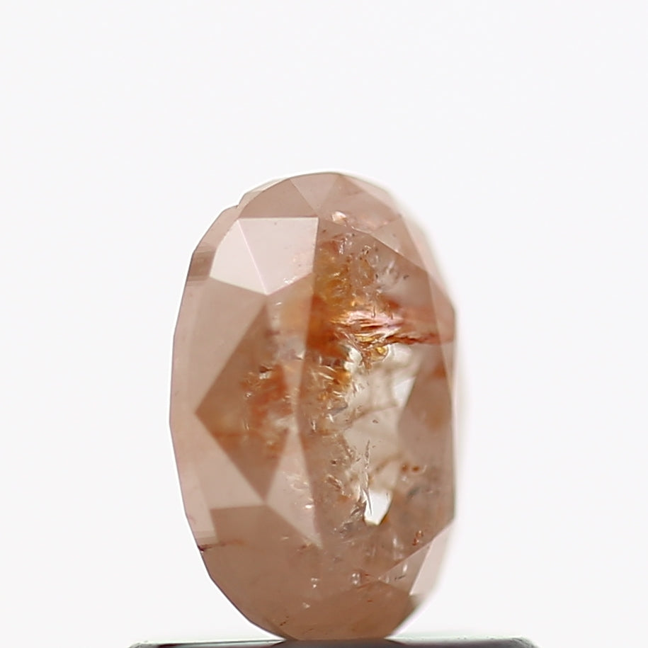 ClariOLED Transparent OLED Display price