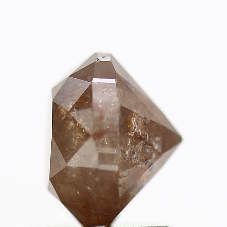 ClariOLED Transparent OLED Display price