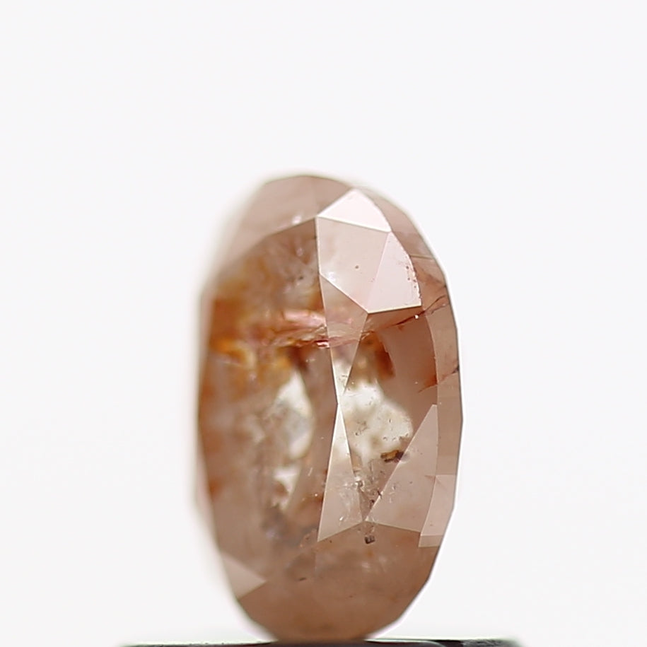 ClariOLED Transparent OLED Display price