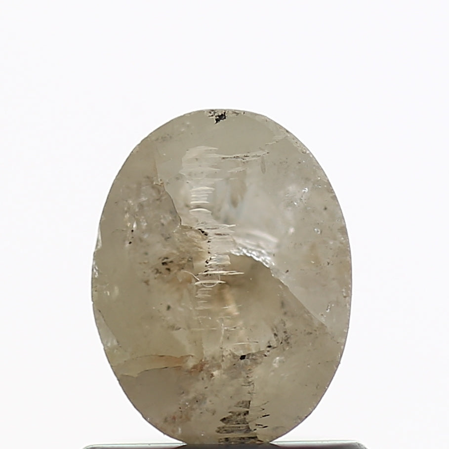 ClariOLED Transparent OLED Display price