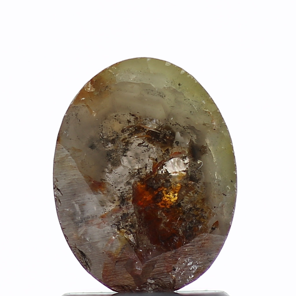 ClariOLED Transparent OLED Display price