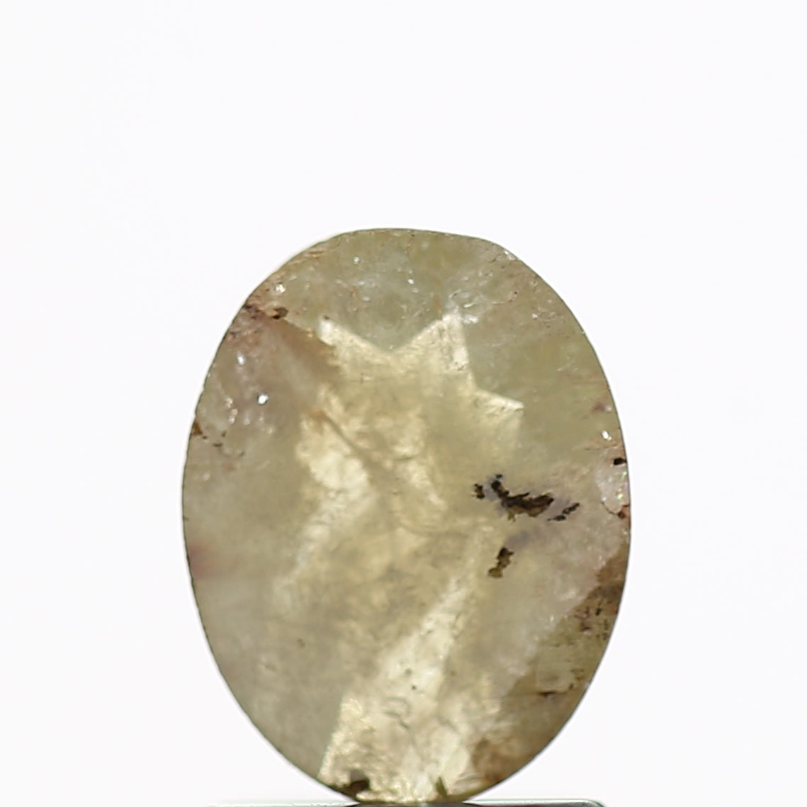 ClariOLED Transparent OLED Display price