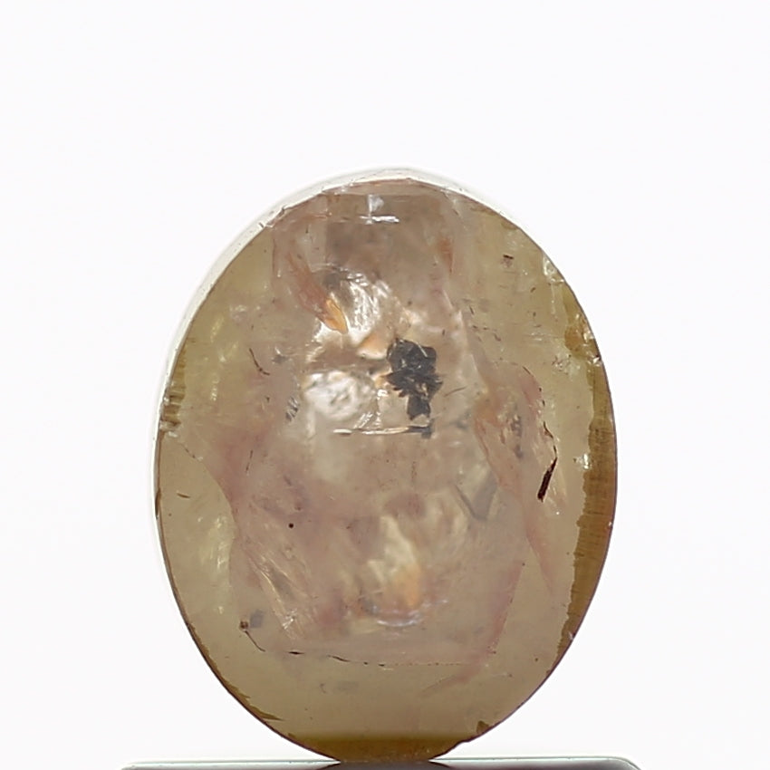 ClariOLED Transparent OLED Display price