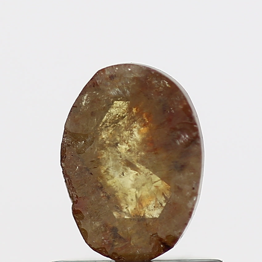 ClariOLED Transparent OLED Display price