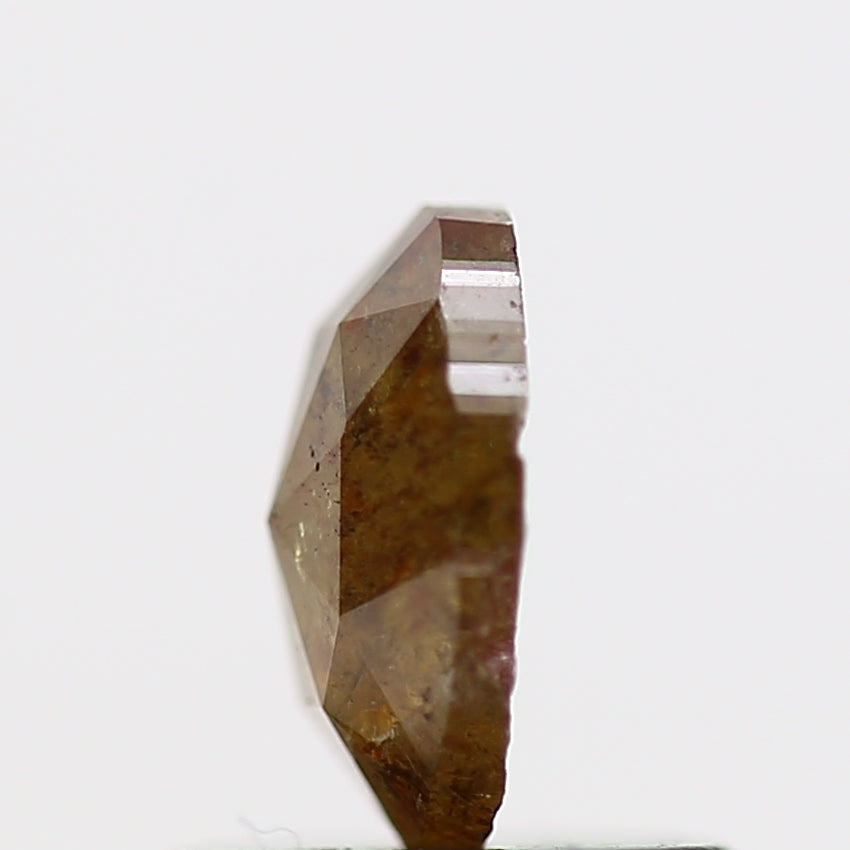 ClariOLED Transparent OLED Display price