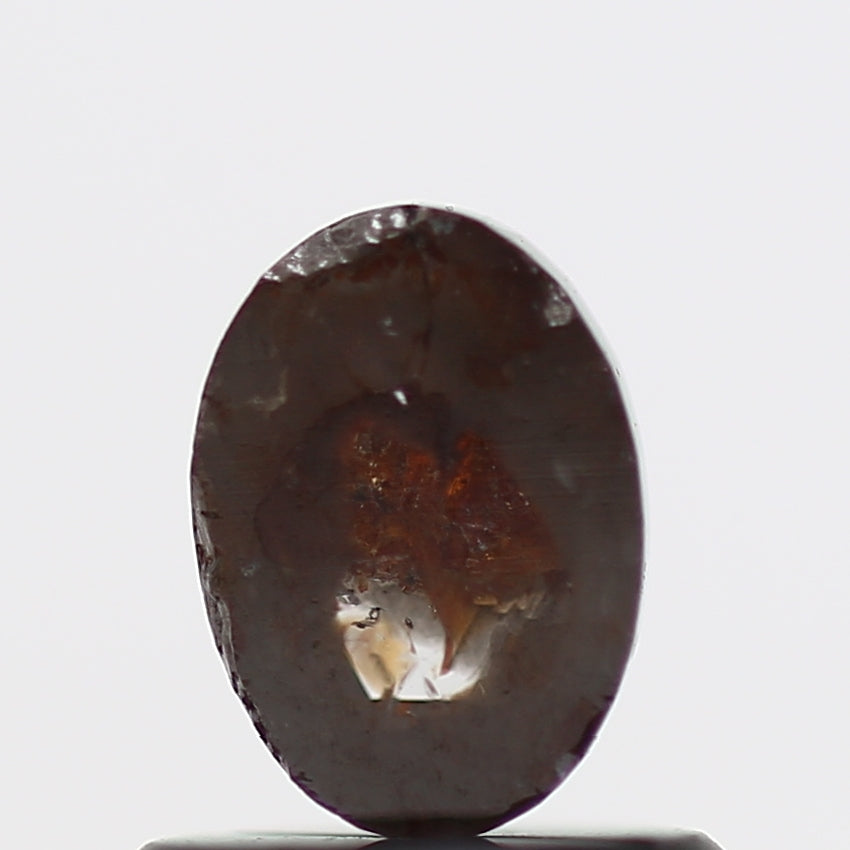 ClariOLED Transparent OLED Display price