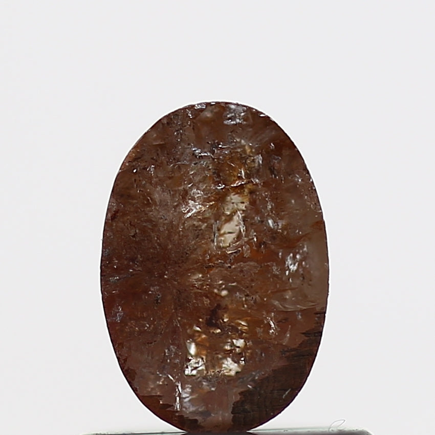 ClariOLED Transparent OLED Display price