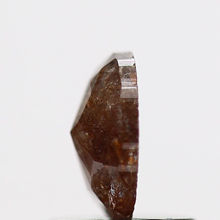 ClariOLED Transparent OLED Display price