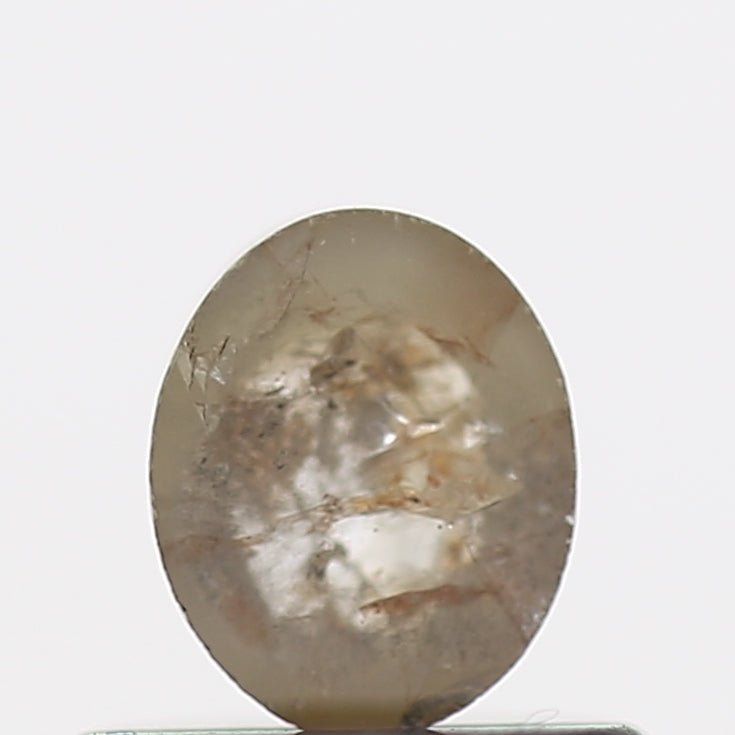 ClariOLED Transparent OLED Display price