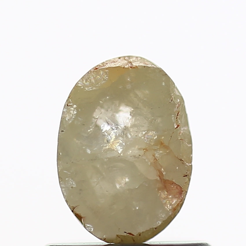 ClariOLED Transparent OLED Display price