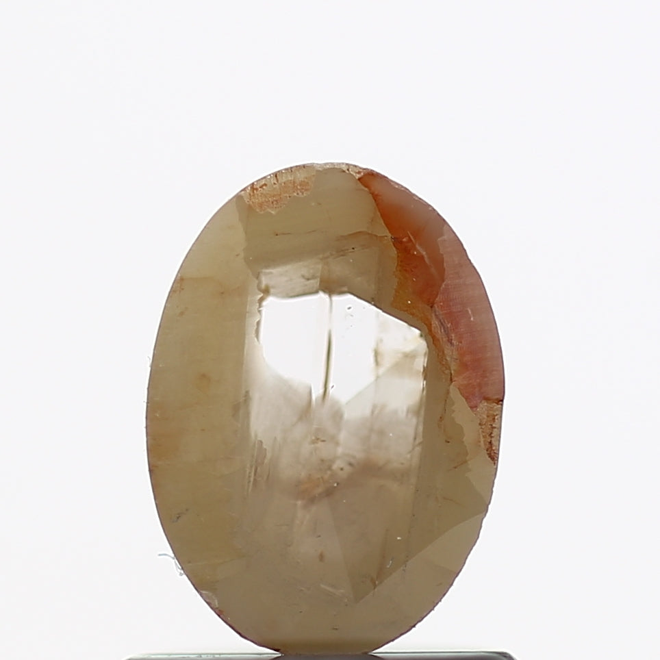 ClariOLED Transparent OLED Display price