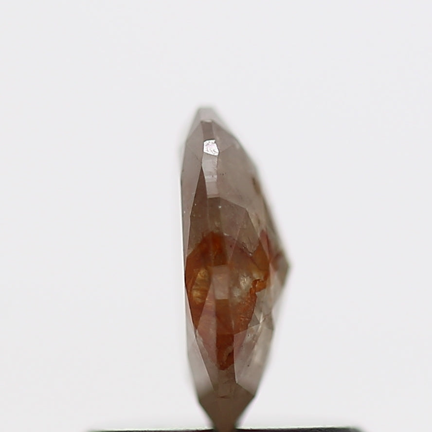 ClariOLED Transparent OLED Display price