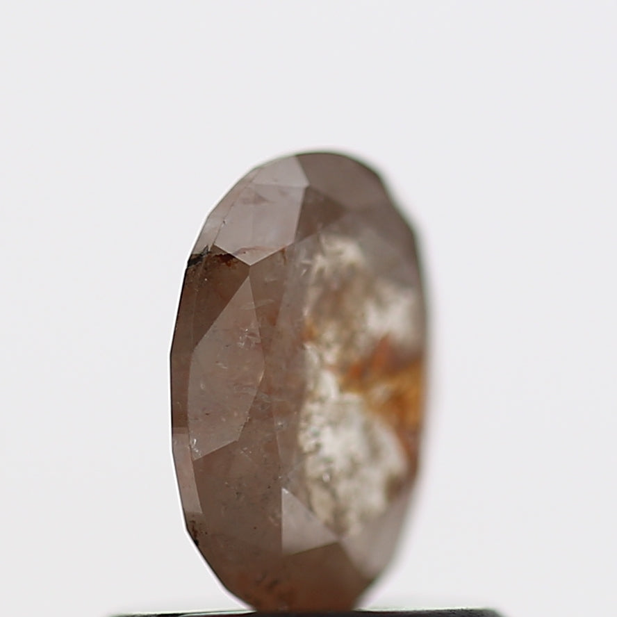 ClariOLED Transparent OLED Display price