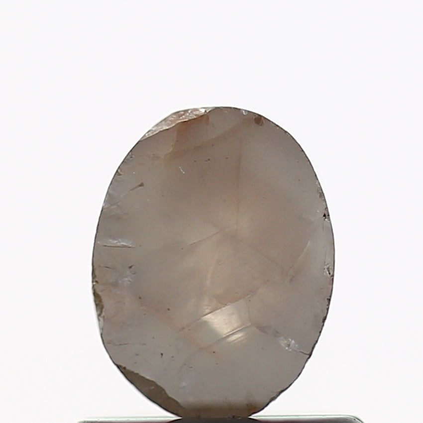 ClariOLED Transparent OLED Display price