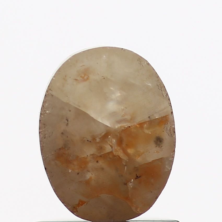 ClariOLED Transparent OLED Display price