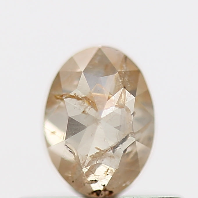 ClariOLED Transparent OLED Display price