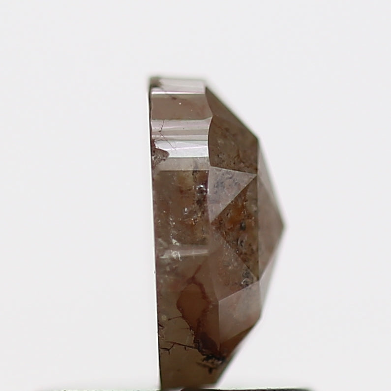 ClariOLED Transparent OLED Display price