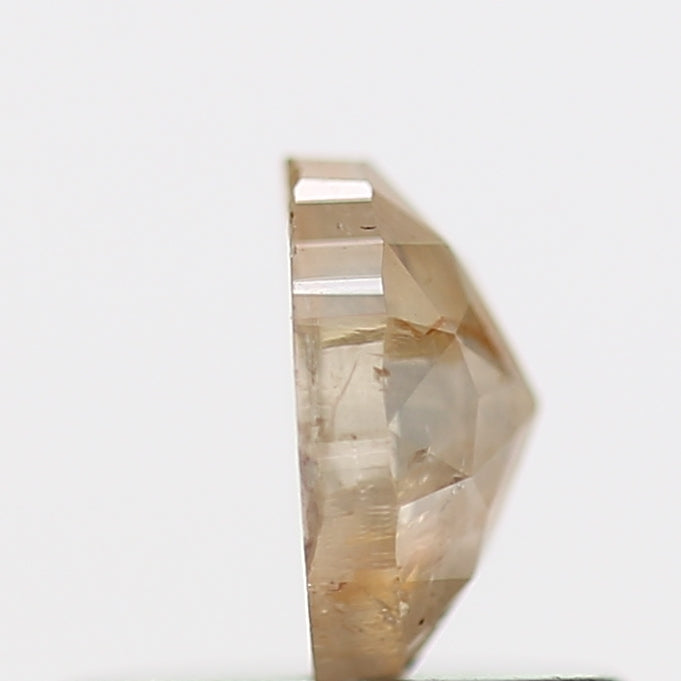 ClariOLED Transparent OLED Display price