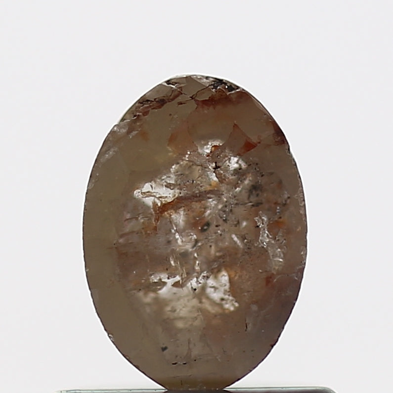 ClariOLED Transparent OLED Display price