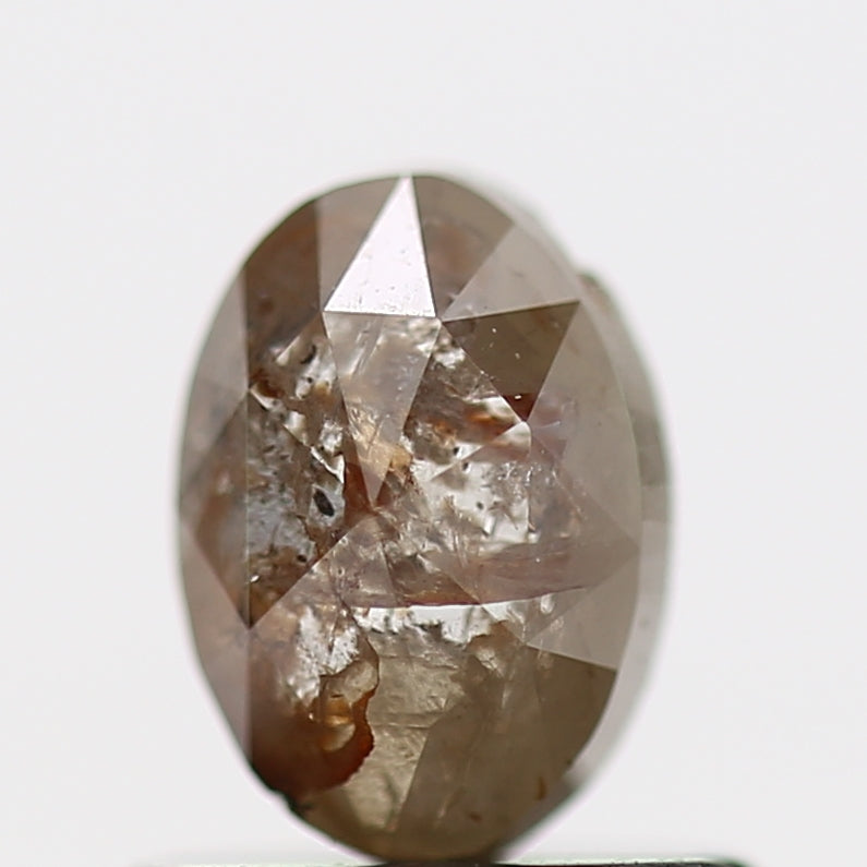 ClariOLED Transparent OLED Display price