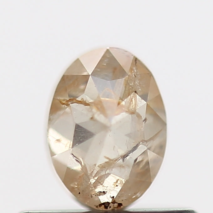 ClariOLED Transparent OLED Display price