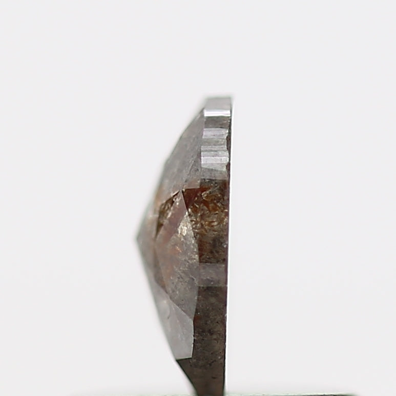 ClariOLED Transparent OLED Display price