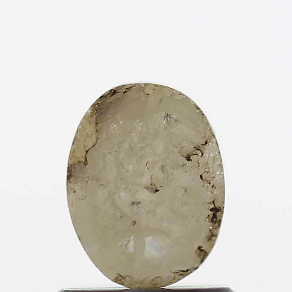 ClariOLED Transparent OLED Display price