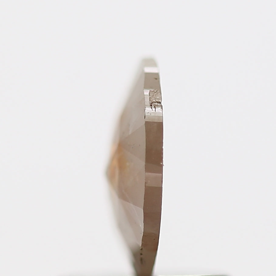 ClariOLED Transparent OLED Display price