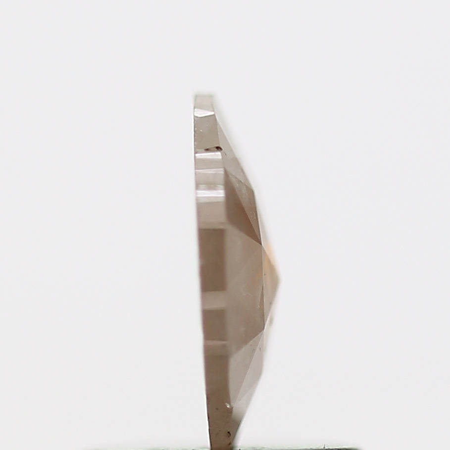 ClariOLED Transparent OLED Display price