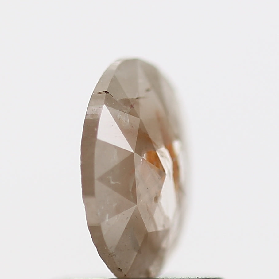 ClariOLED Transparent OLED Display price