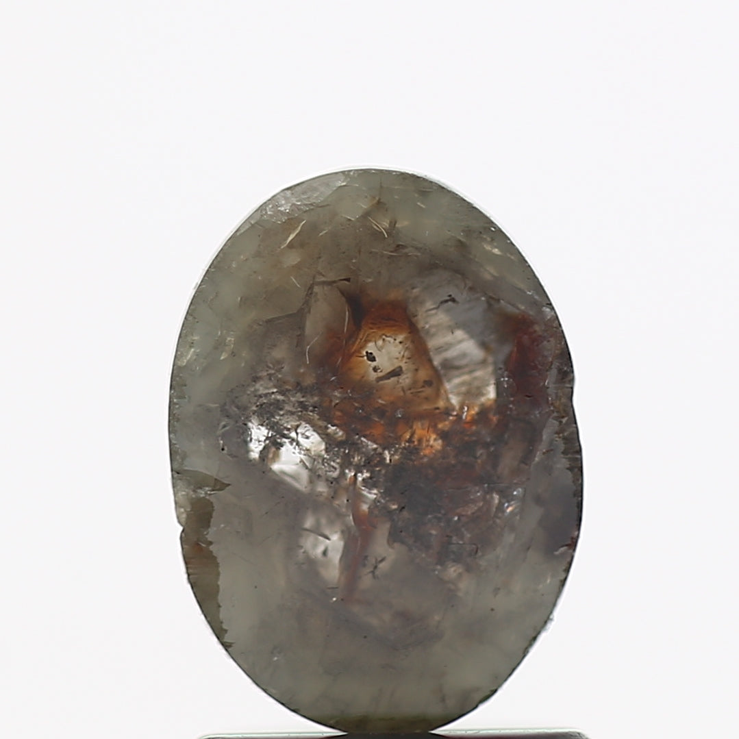 ClariOLED Transparent OLED Display price