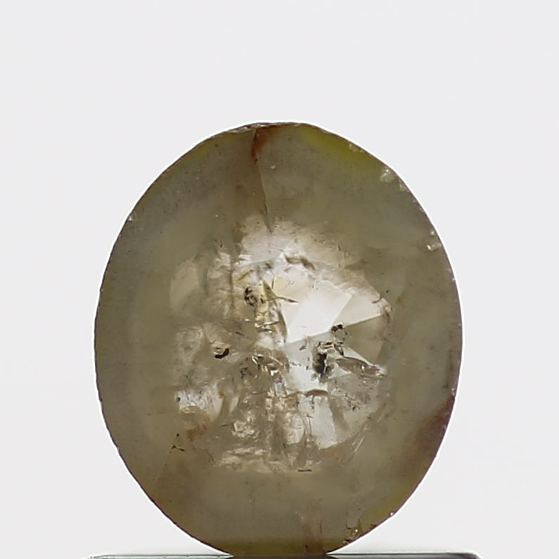 ClariOLED Transparent OLED Display price