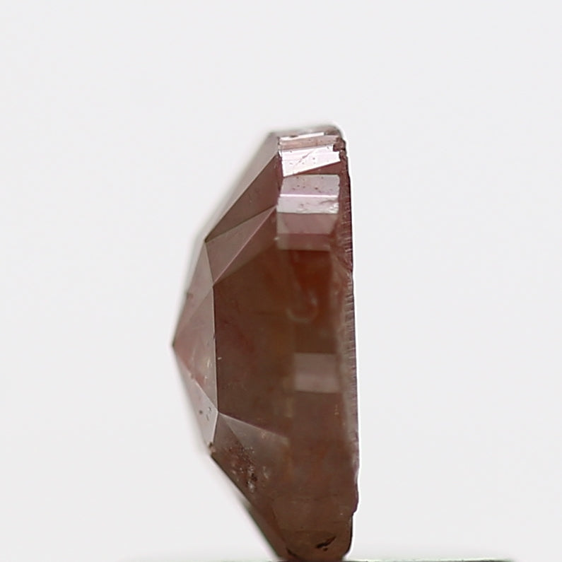 ClariOLED Transparent OLED Display price