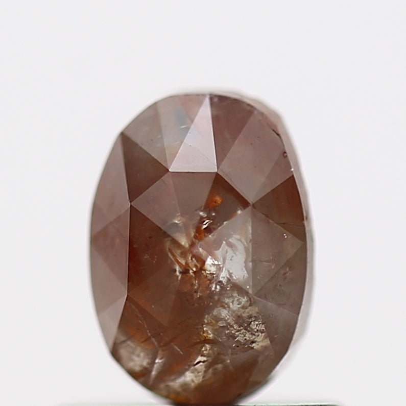 ClariOLED Transparent OLED Display price