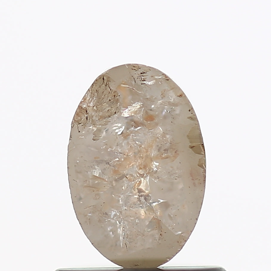 ClariOLED Transparent OLED Display price