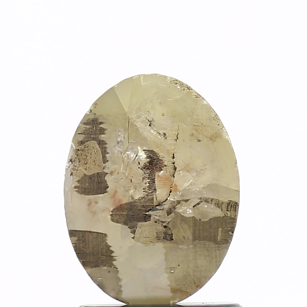 ClariOLED Transparent OLED Display price