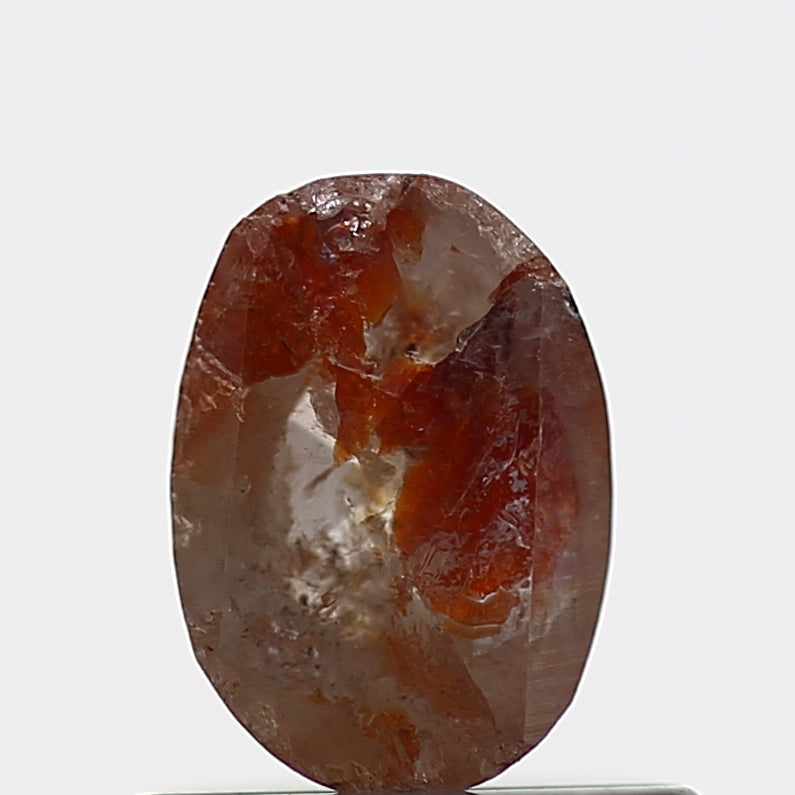 ClariOLED Transparent OLED Display price