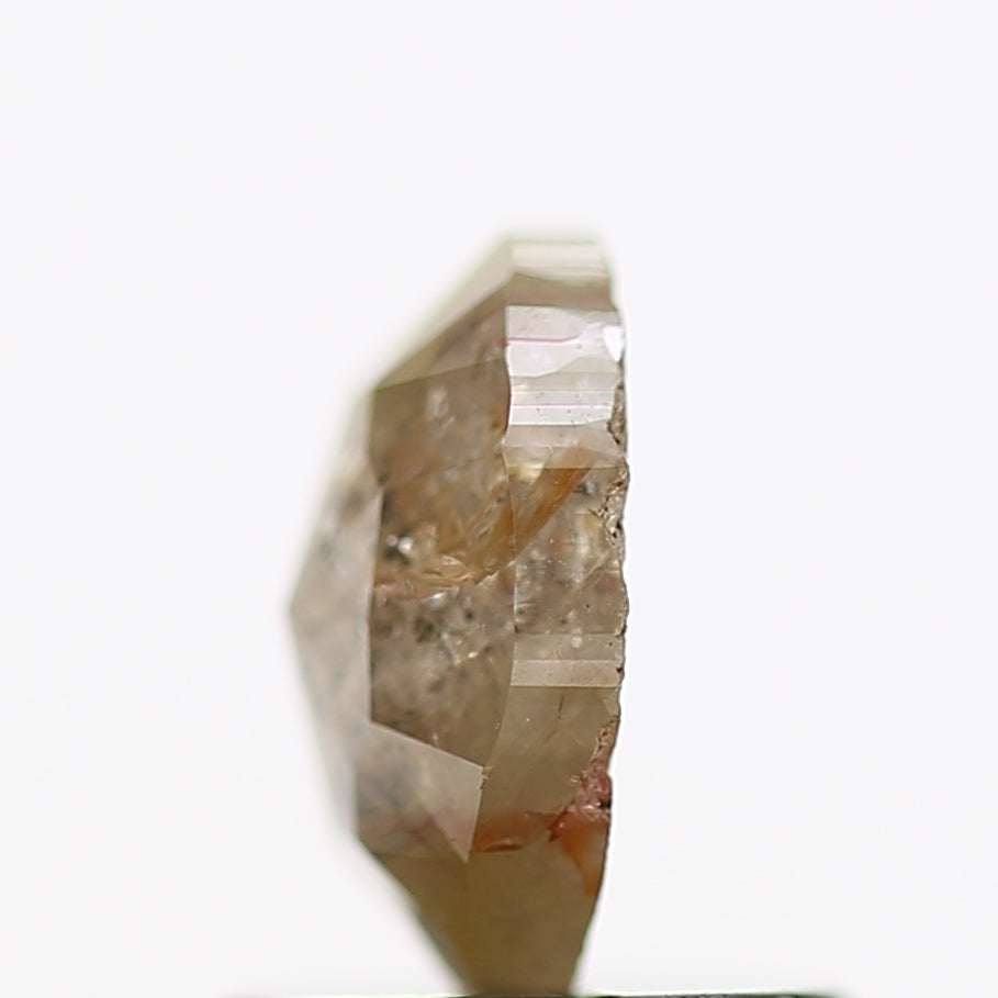 ClariOLED Transparent OLED Display price