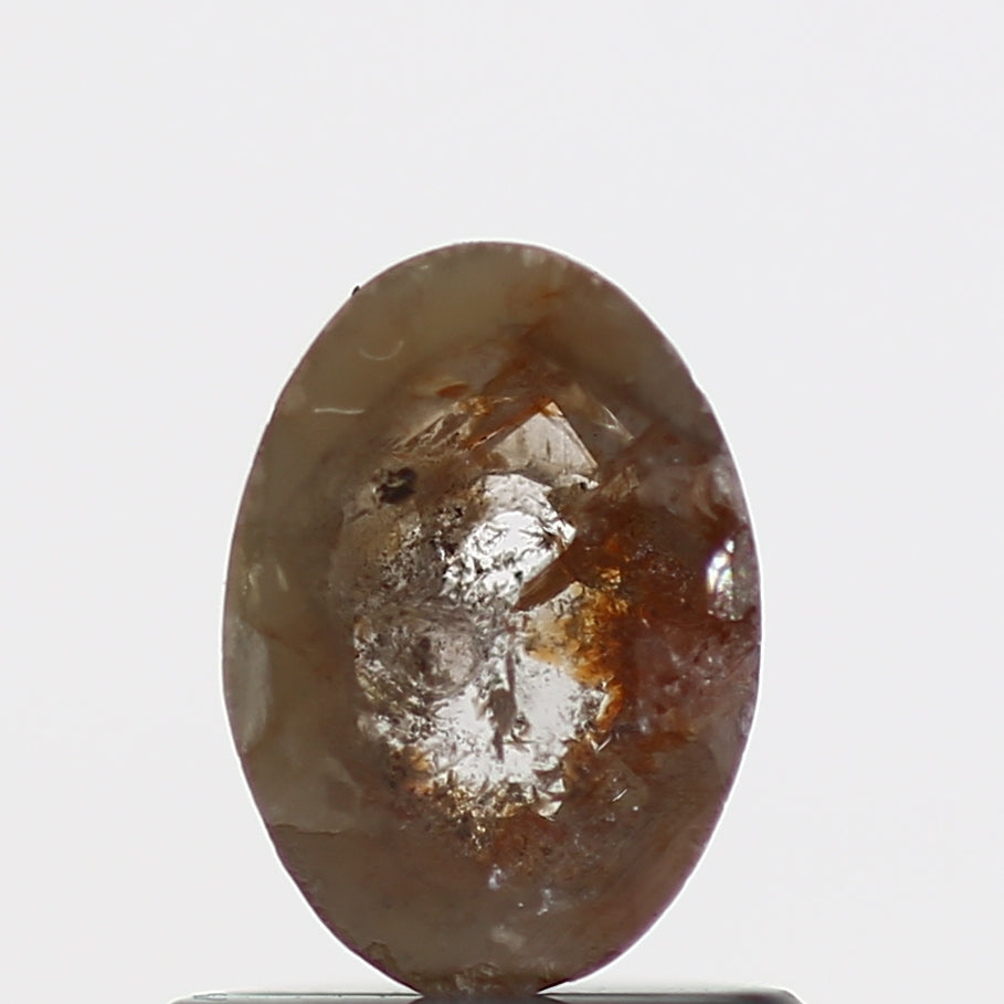 ClariOLED Transparent OLED Display price