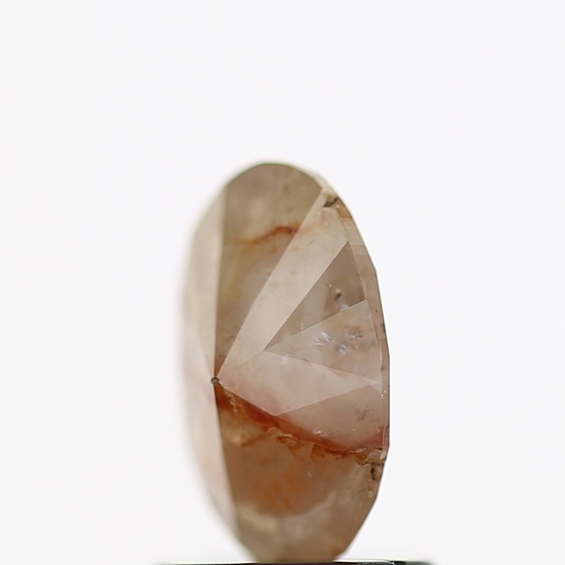 ClariOLED Transparent OLED Display price