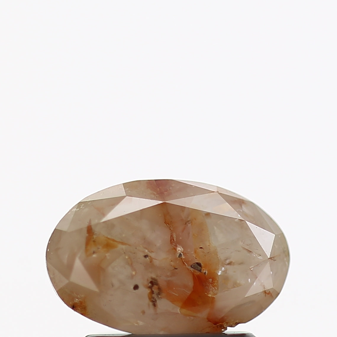 ClariOLED Transparent OLED Display price